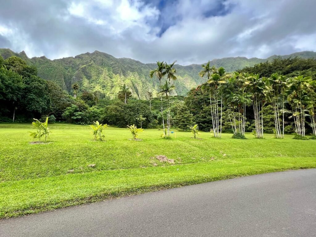 Tropical landscape with green mountains and grasslands