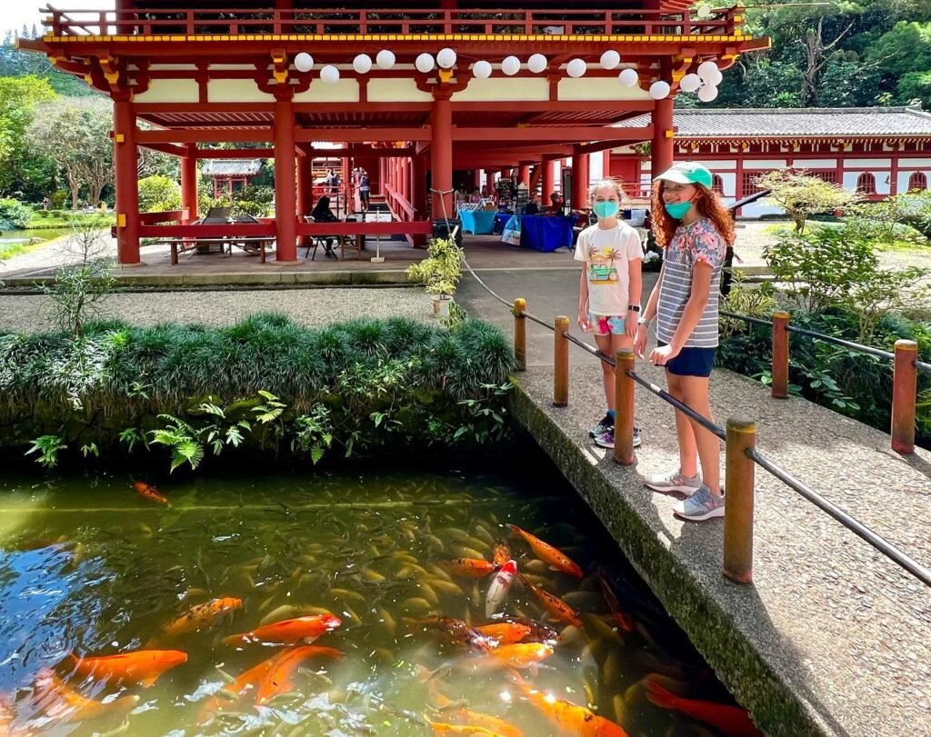 Visitors observe vibrant koi in a pond beside a traditional red Japanese temple structure.