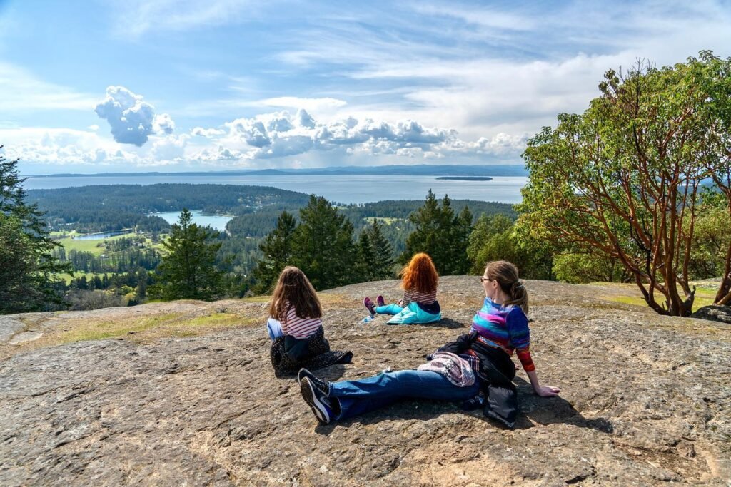 Individuals relaxing on a rocky outcrop overlooking a scenic lake and forest landscape under a sunny sky.