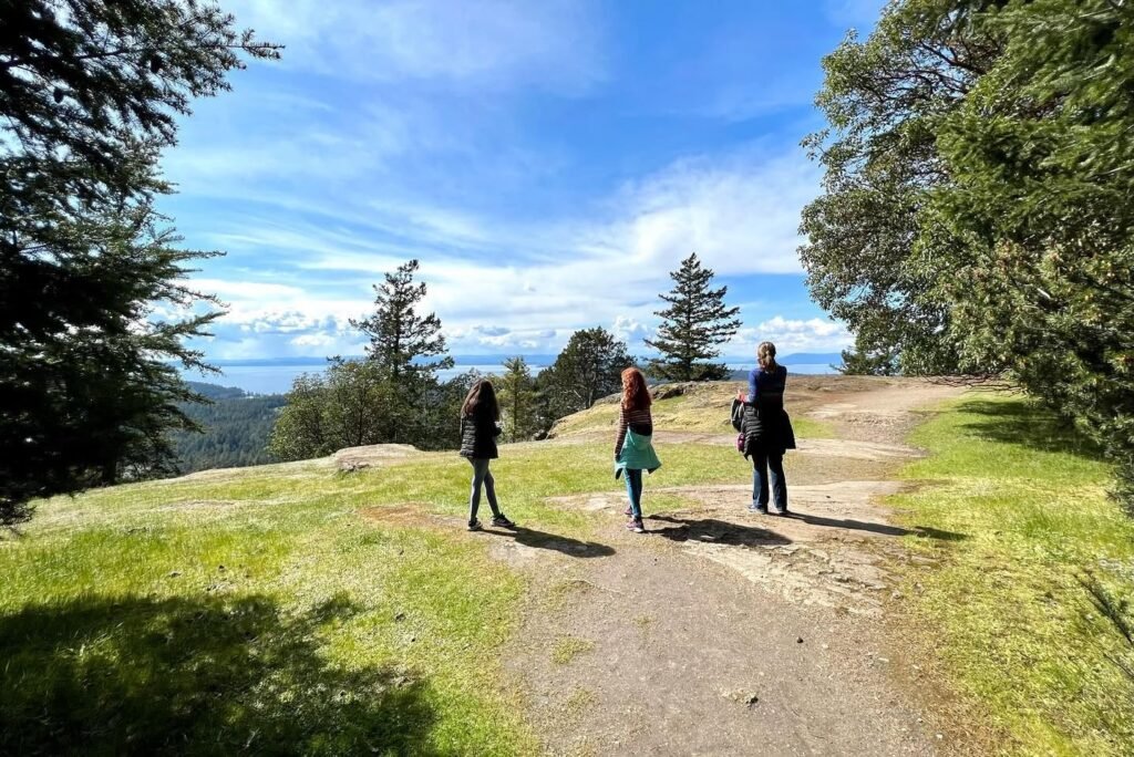Family enjoying scenic mountain views at a trail overlook. Tall evergreens frame a bright blue sky.