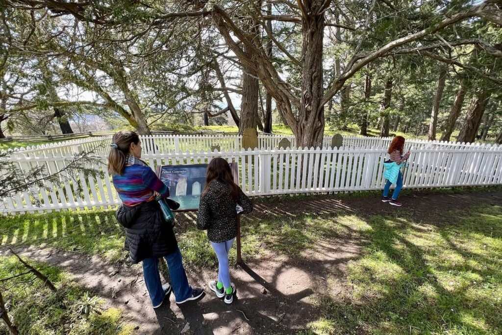 Visitors explore a spacious woodland park featuring a prominent white picket fence beneath large, sprawling trees.