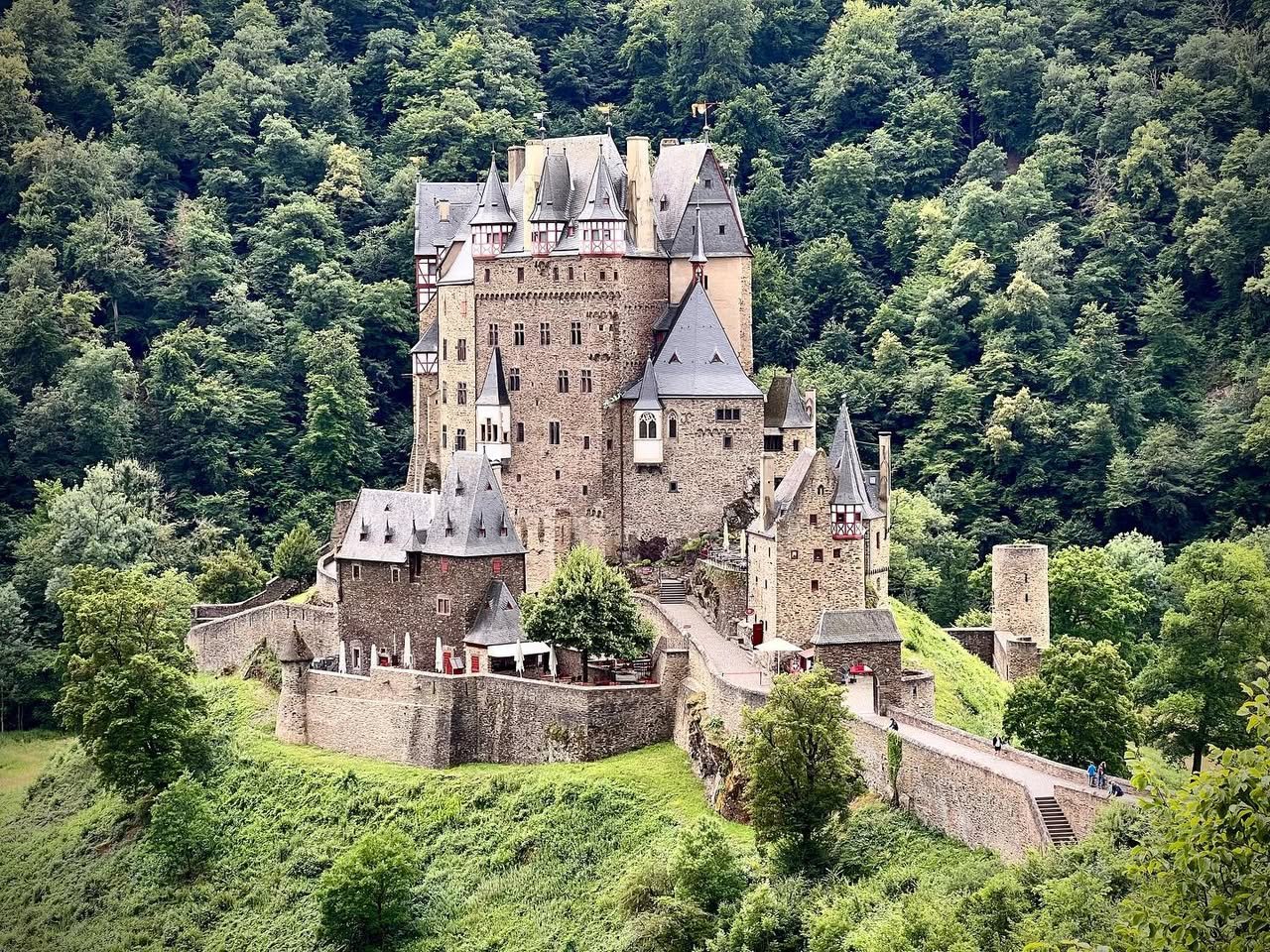 A detailed view of a historic stone castle perched on a lush, green hillside surrounded by dense forest.
