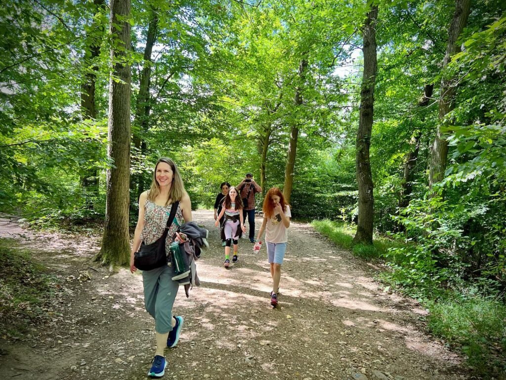 Friends stroll along a sunny forest path surrounded by tall green trees.