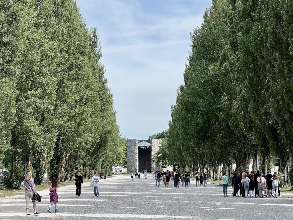 A wide avenue flanked by tall willow trees leads to the Museum of the Cave of the Holy Souls, with visitors walking through the serene setting.