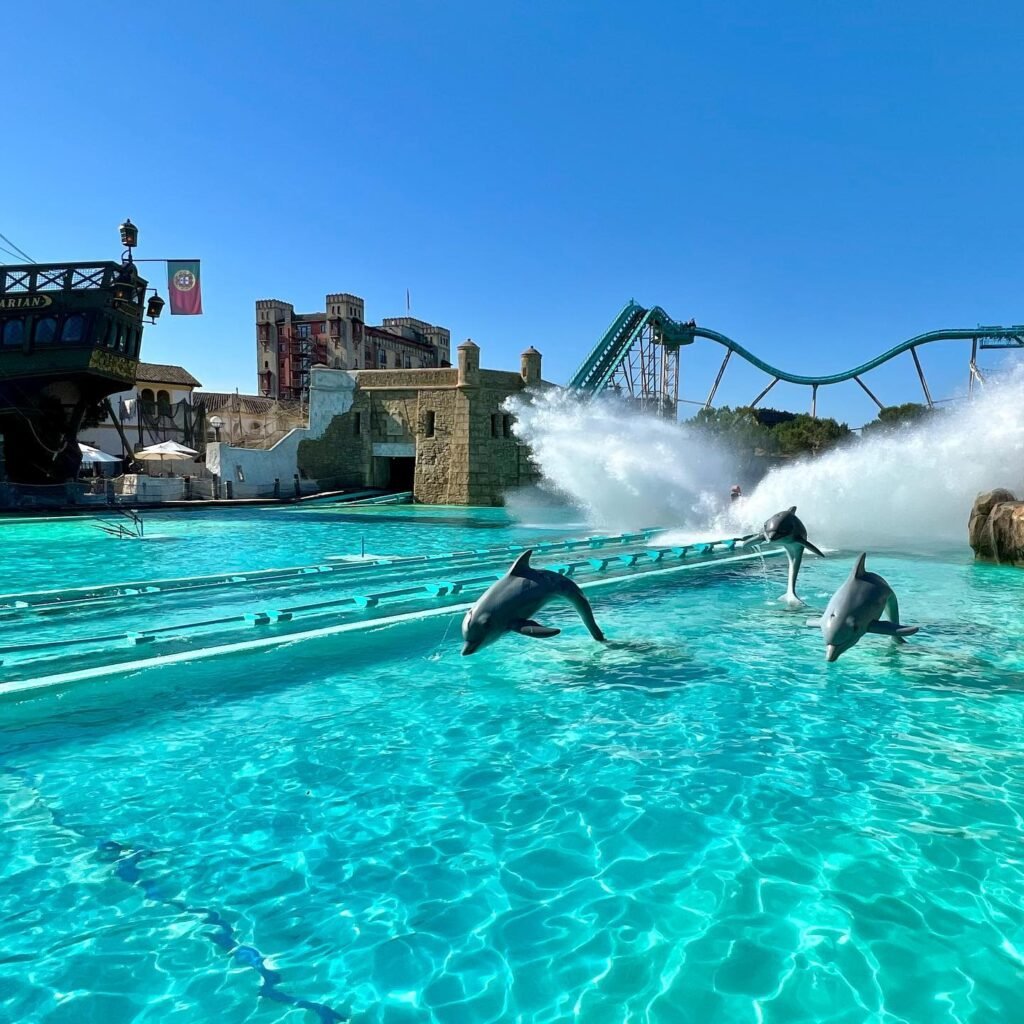 A group of dolphins performing during a live show at SeaWorld, jumping from bright blue water with a cityscape and roller coaster in the background.