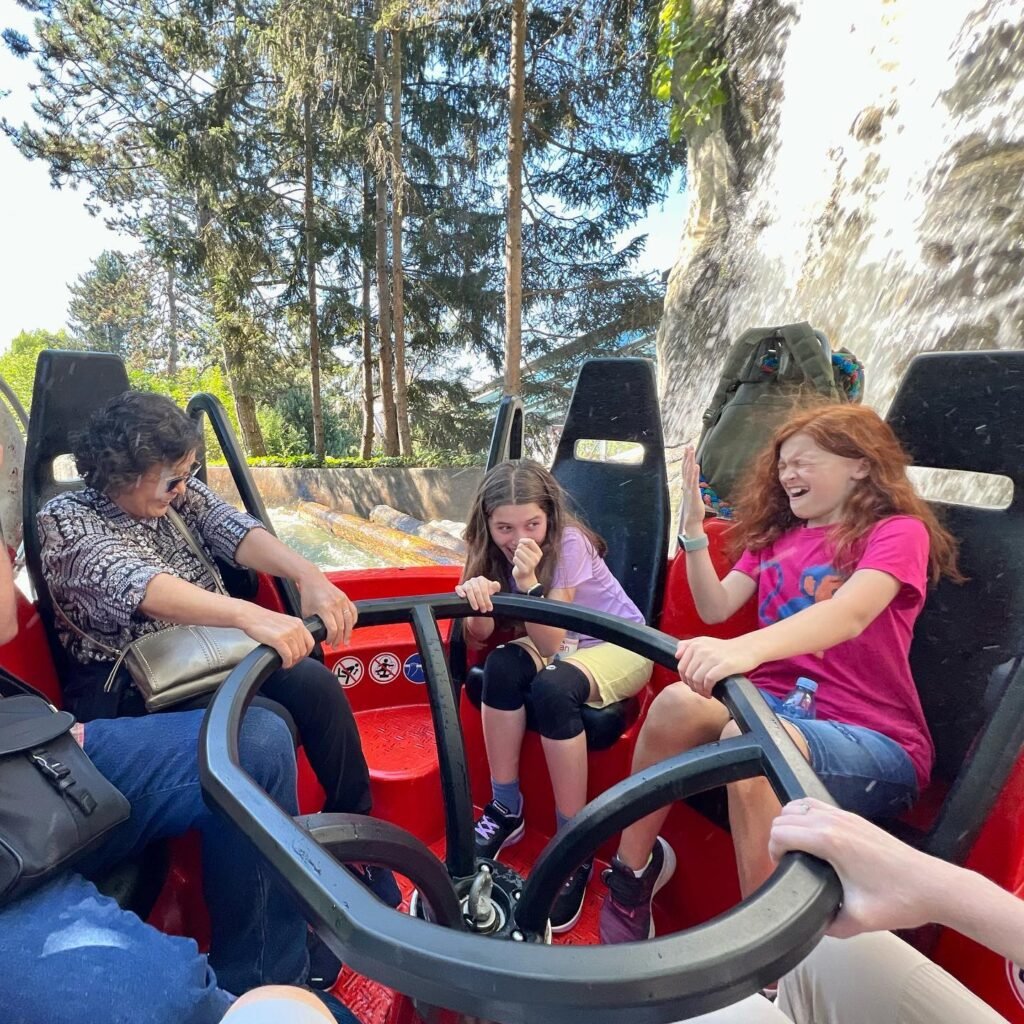 Family enjoying a roller coaster ride with tall trees in the background.