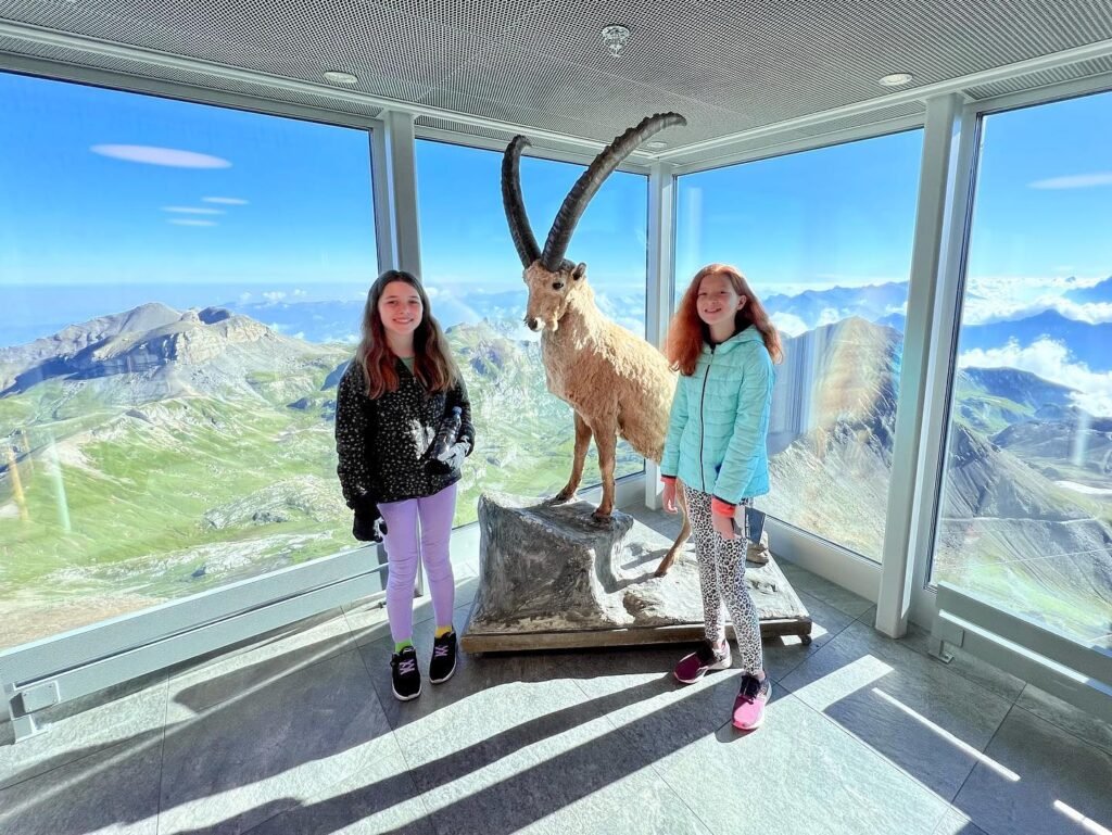 Visitors admire a taxidermied mountain goat statue at a scenic observation ledge. Panoramic windows reveal vast mountain ranges and alpine meadows below.