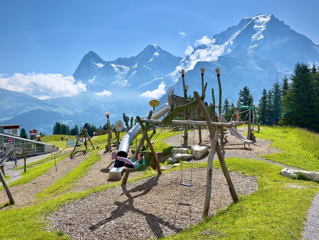 Treehouse playground with slides and swings set against snow-capped mountains.