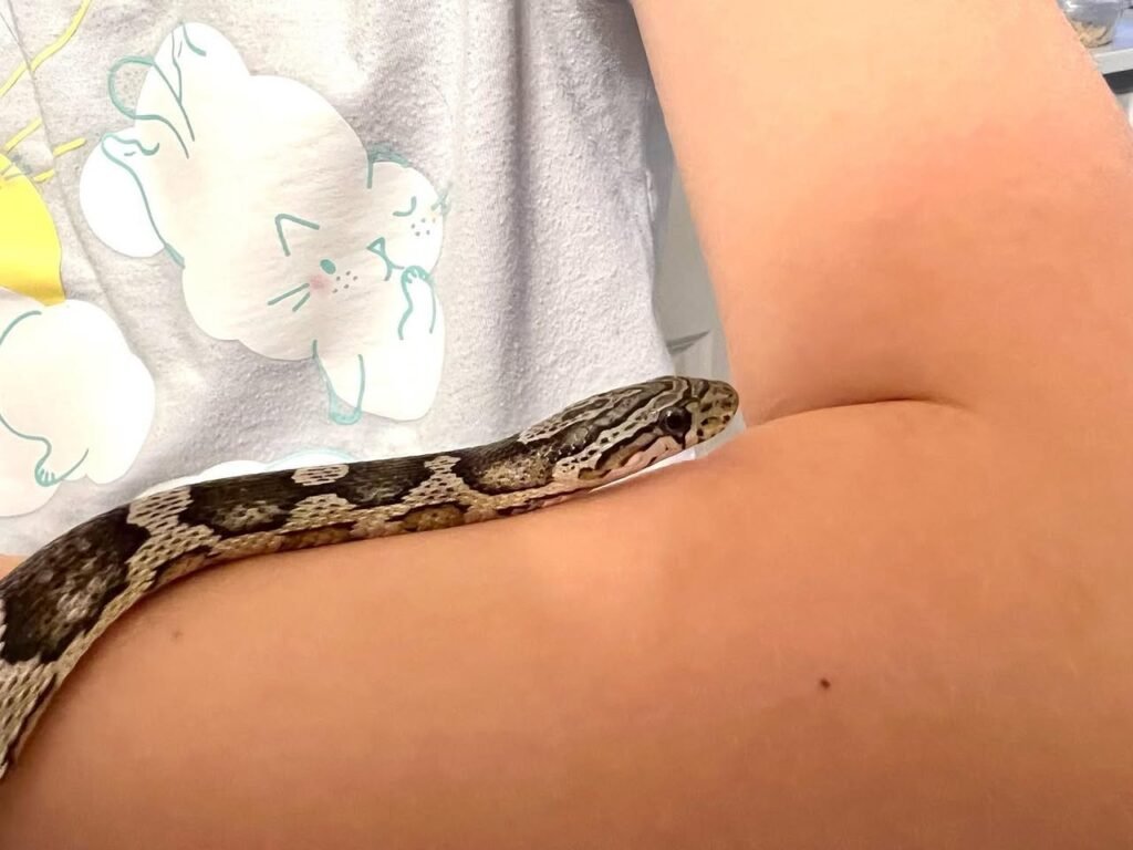 A snake wrapped along a person's arm against a floral pattern background