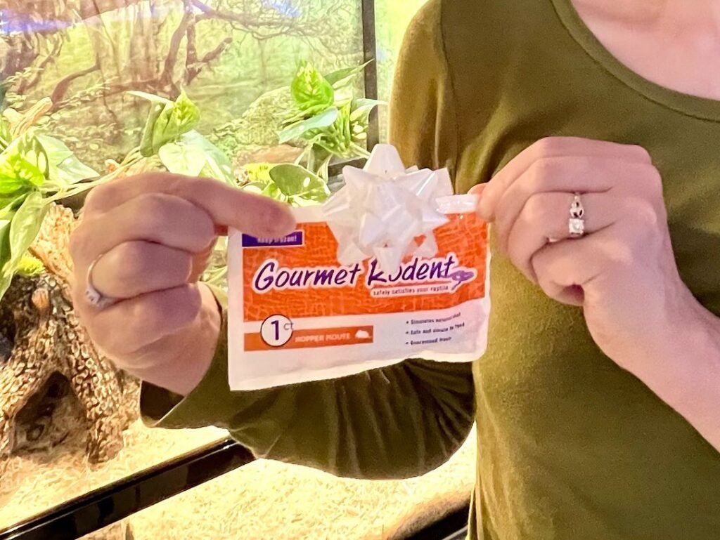 A person holds a small packet of Gourmet K-Dent orthodontic wax in a sunny outdoor setting. Green foliage is visible in the background behind them.