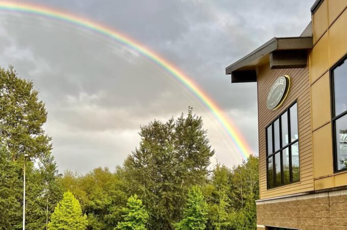 A striking rainbow arches gracefully across a cloudy sky above a line of lush green trees. A modern brick building with large windows stands prominently on the right side of the frame.