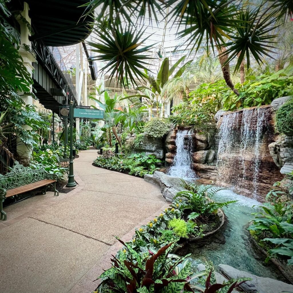 Pathway through a lush botanical conservatory with a small cascading waterfall and tropical plants.