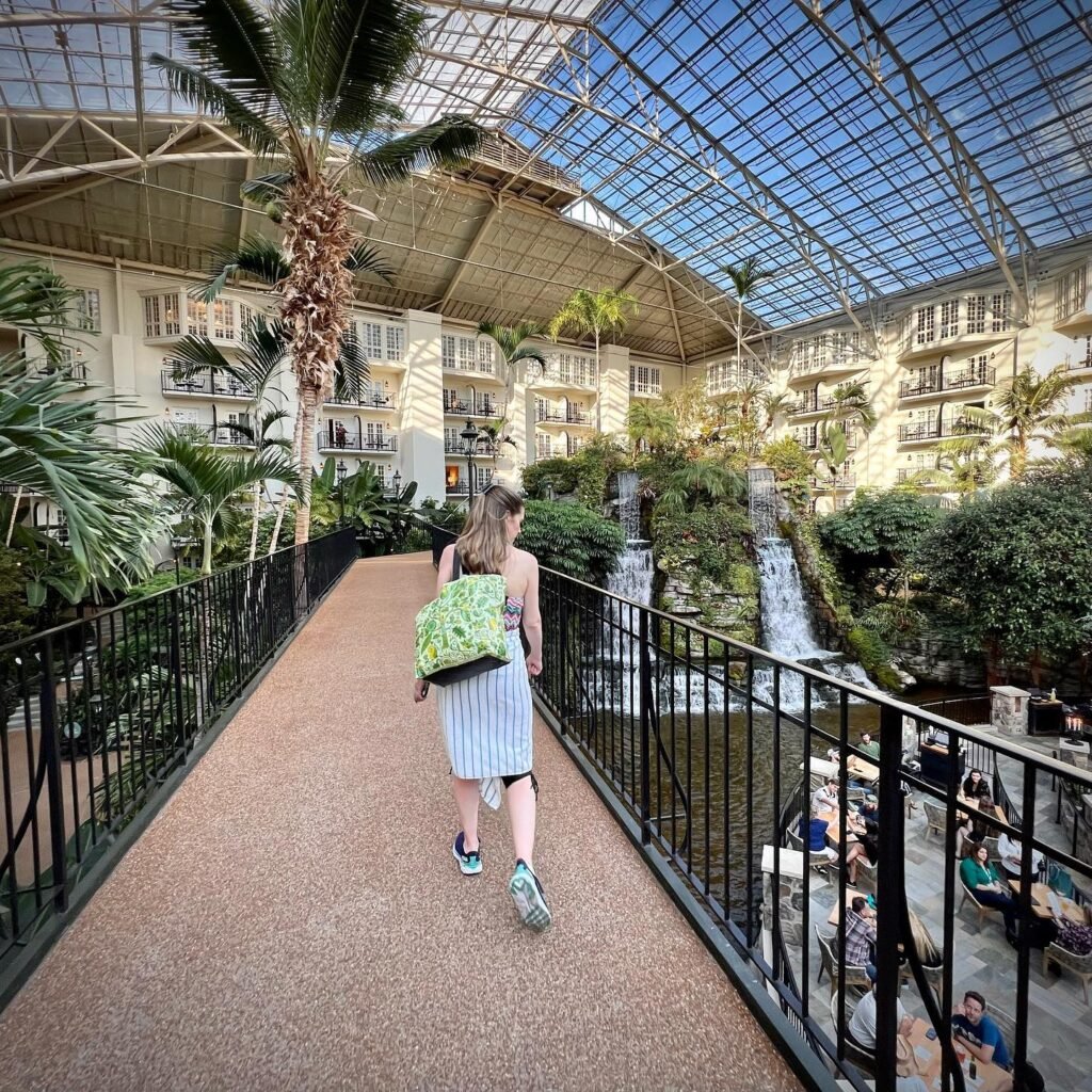 A view of the Rainforest Cafe's glass-domed interior with lush plants and a waterfall.