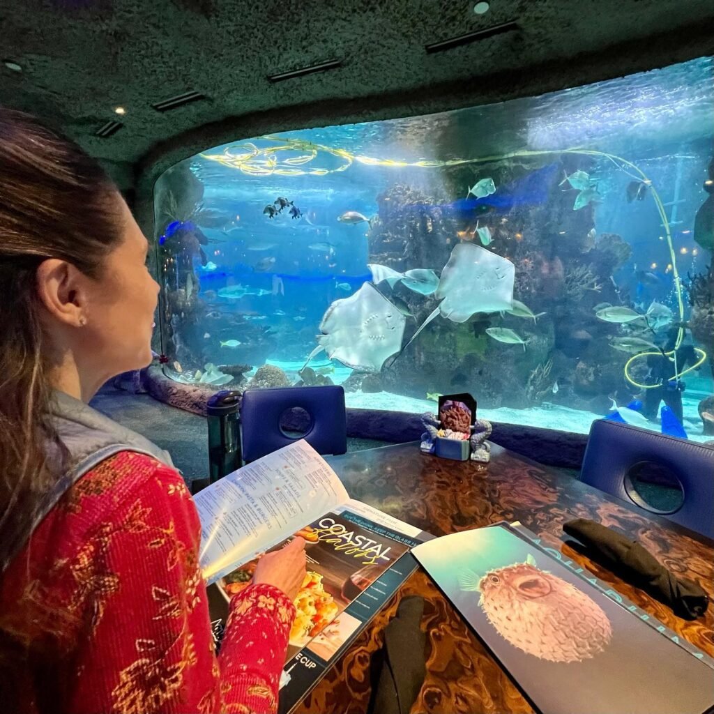 A person views marine life in a large aquarium while seated at a dining table.