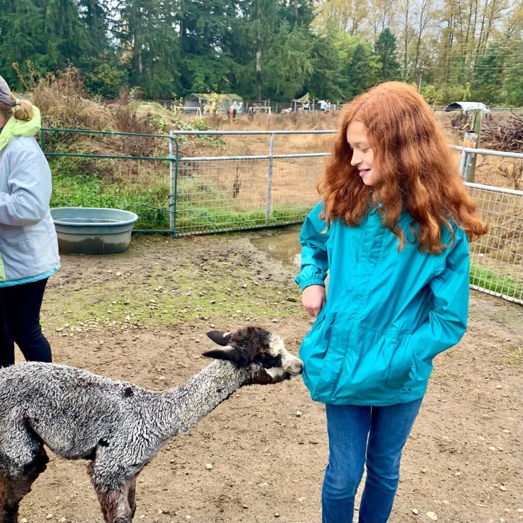 A young woman in a blue jacket stands beside a sheep in an enclosure.