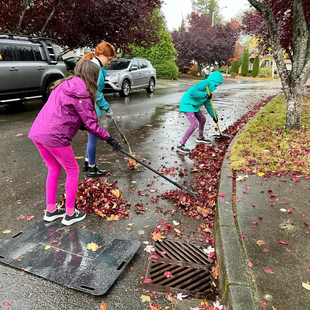 Three people in colorful rain gear sweep wet leaves from a residential street into a storm drain grate. They are clearing the gutter area near a tree on a rainy day.
