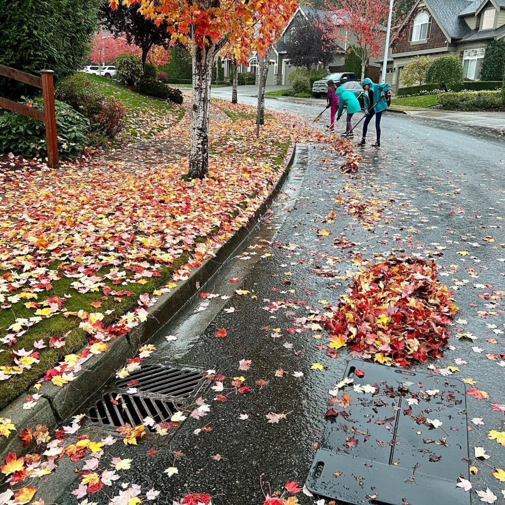 A team of people in rain gear rakes colorful fall leaves in a wet residential neighborhood, while a close-up shows leaves gathering in a storm drain.