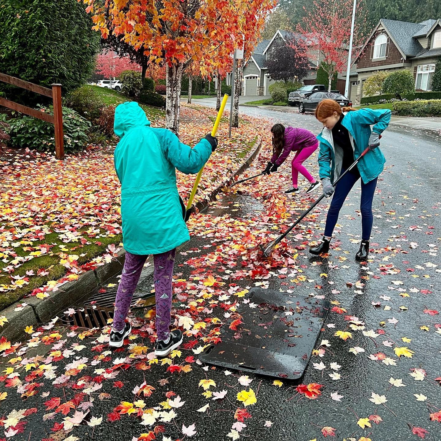 Storm Drain Cleanup A family raking and clearing vibrant autumn leaves from a wet suburban street during a rainy day in the Pacific Northwest.