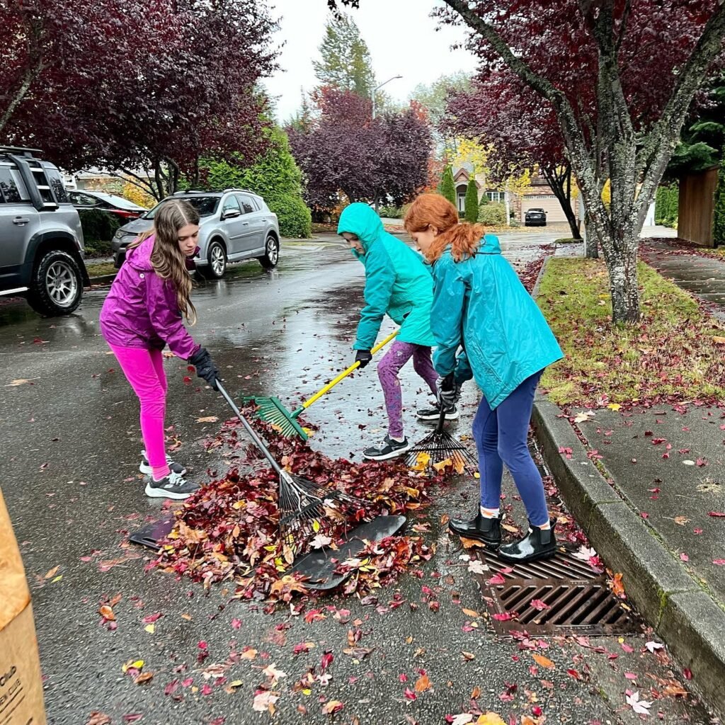 Dressed in colorful raincoats, a group of people work together to rake leaves from a sidewalk on a rainy autumn day.