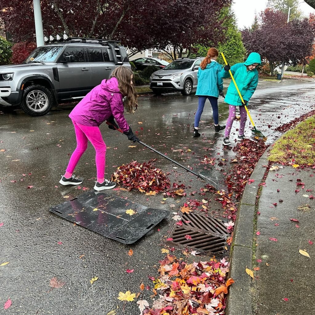 Individuals in bright rain gear sweeping fallen leaves into a storm drain on a wet, rainy street in a Pacific Northwest neighborhood.