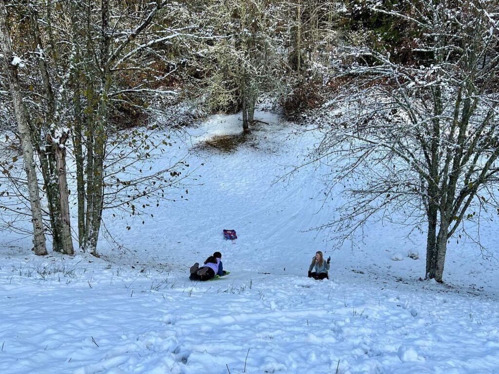 Two people sledding down a snow-covered slope surrounded by bare winter trees.
