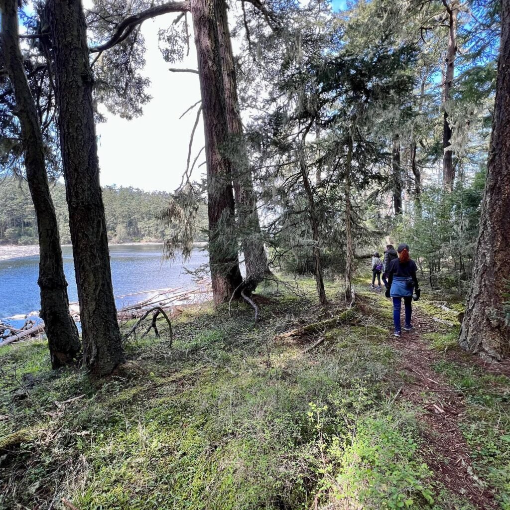 Hikers walking along a dirt trail next to a forested lake in the Pacific Northwest. Tall evergreen trees line the path.