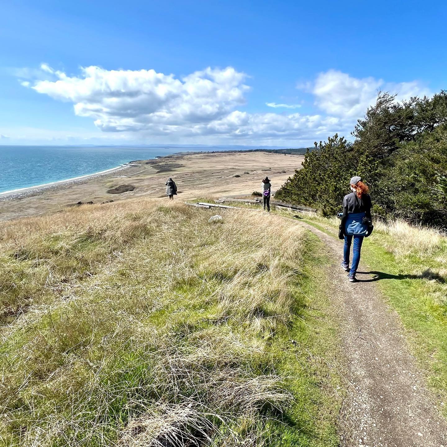 A scenic coastal trail with a hiker walking along the path, overlooking the ocean on a sunny day.