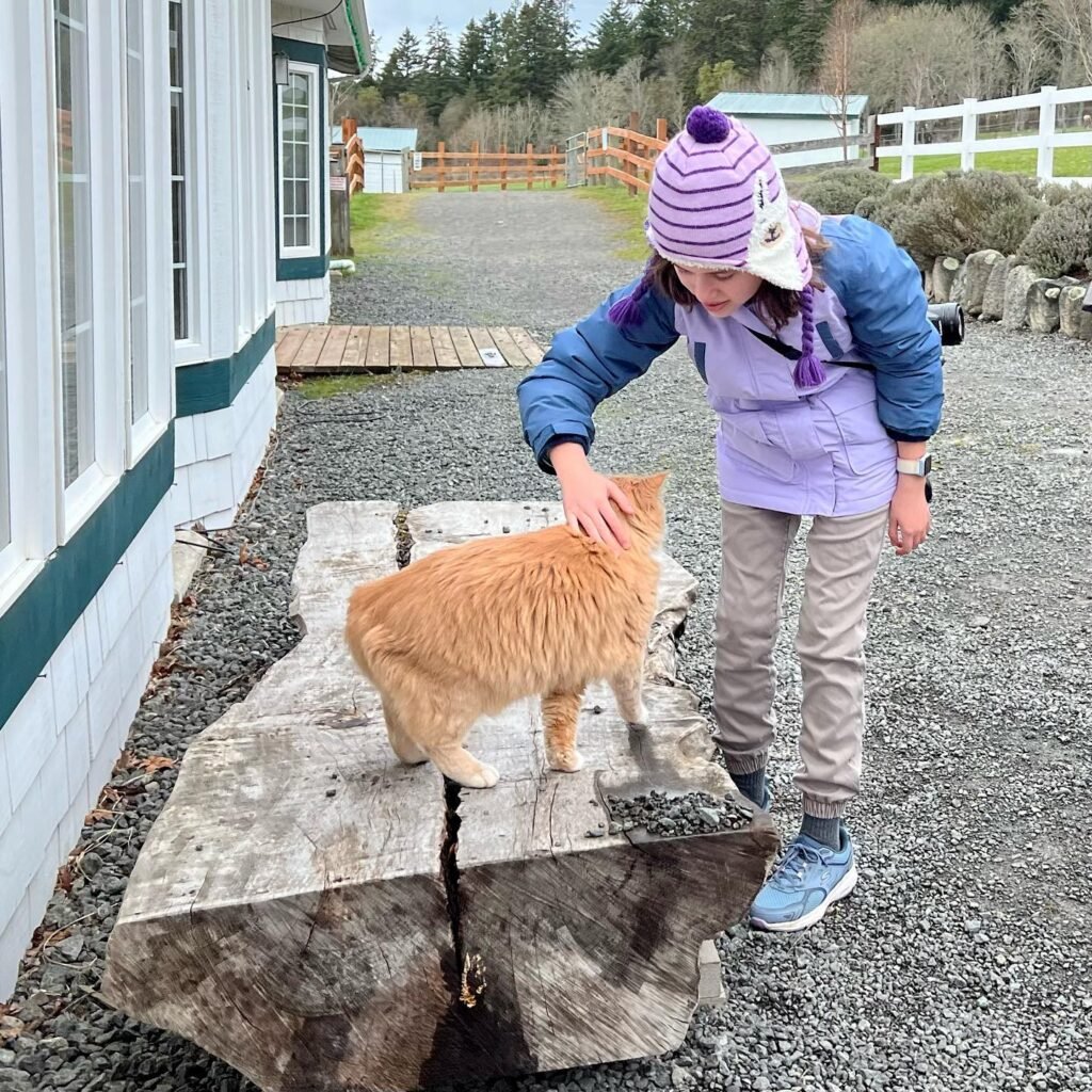 A child wearing a purple hat pets a fluffy orange cat standing on a large log on a gravel path at a farm.