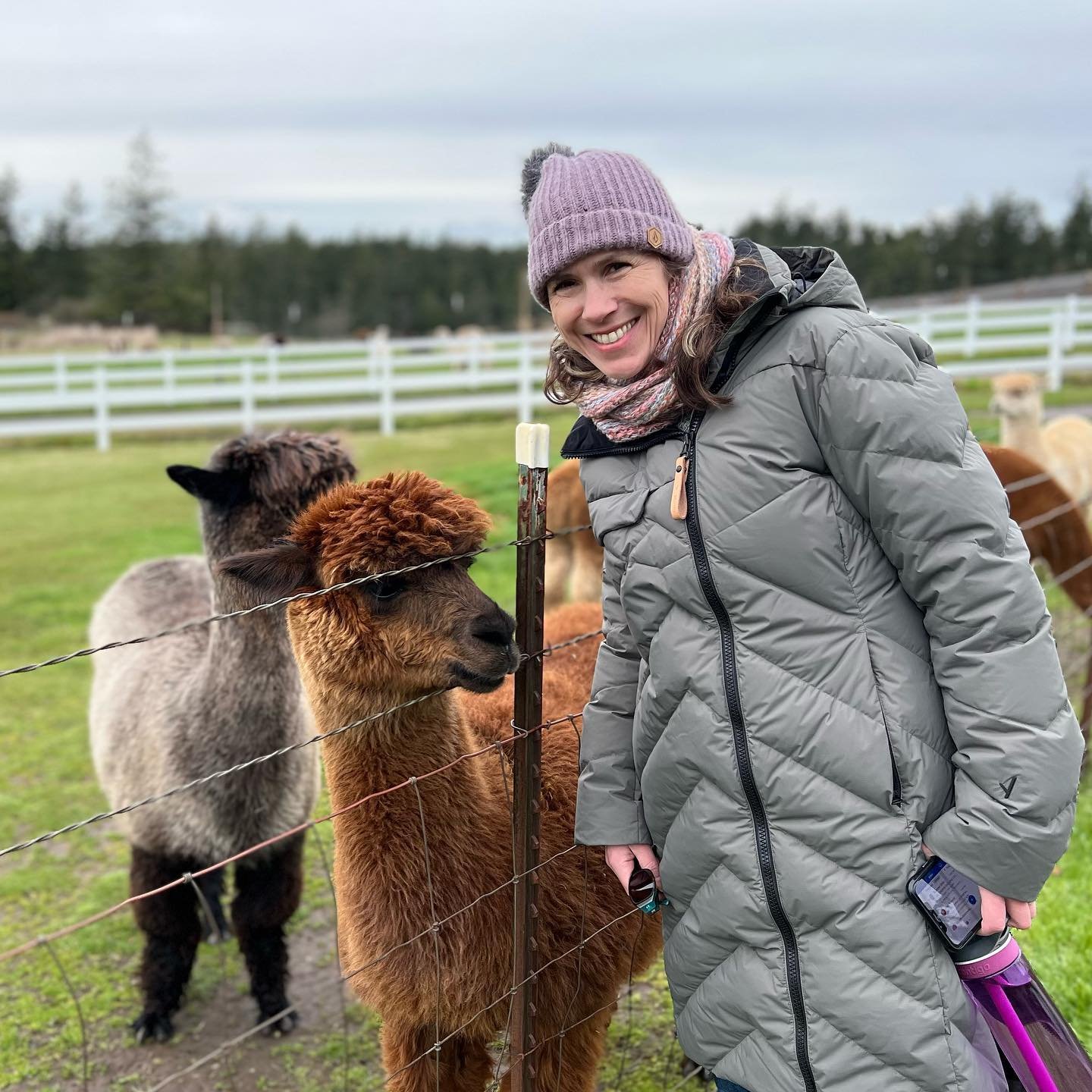 Alpacas A visitor in winter gear smiles next to a wire fence while interacting with alpacas on a farm.