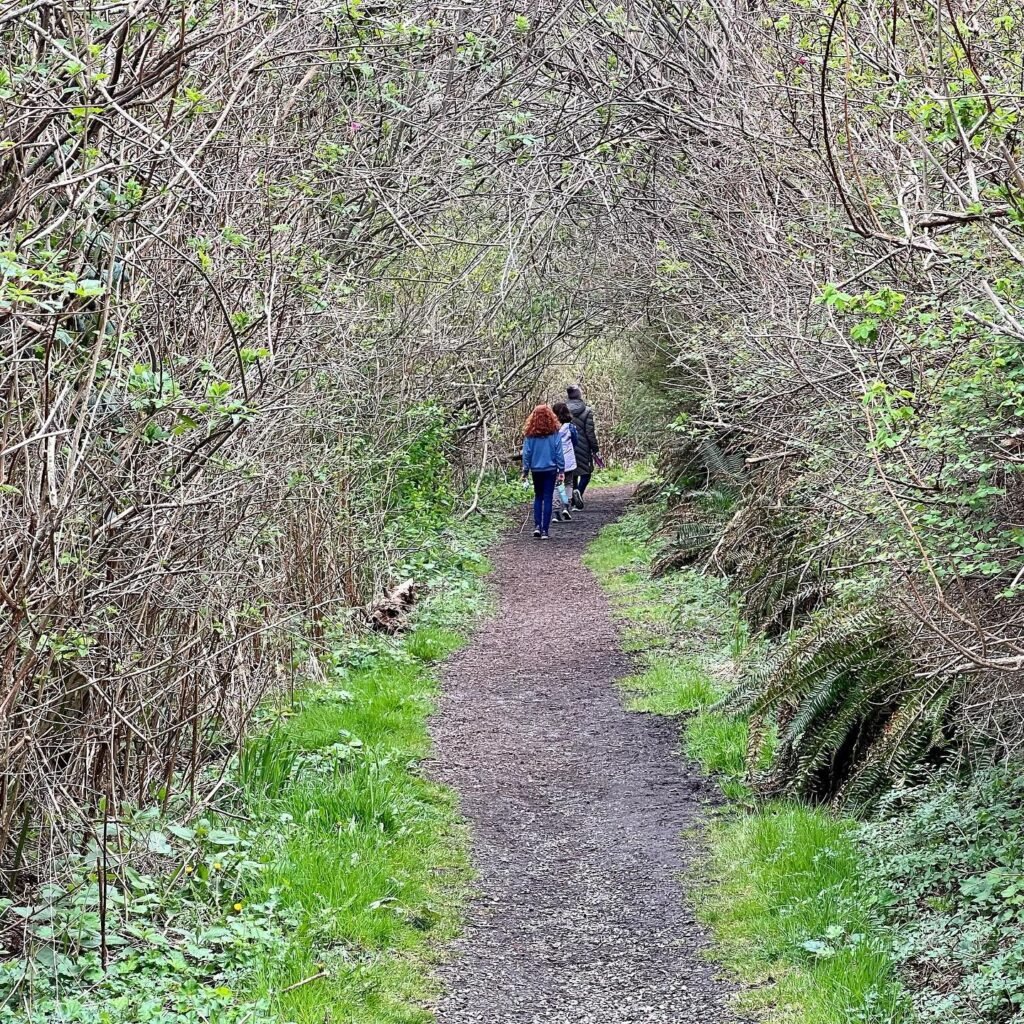 Hikers walking along a winding gravel trail through a lush forest. Spring foliage and overhanging branches create a natural canopy.