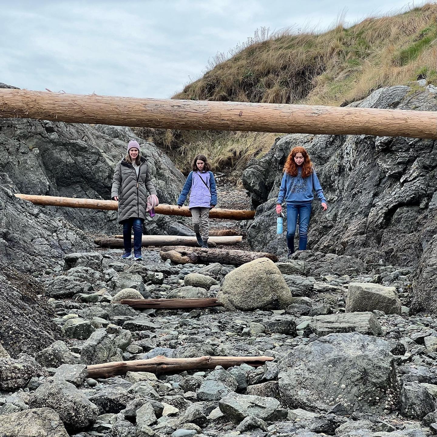 Eagle Cove Beach Hikers navigating a rocky path with a large log railing, showcasing the rugged beauty of nature.