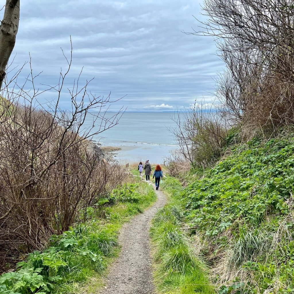 A dirt hiking path features two people making their way to a scenic ocean view.