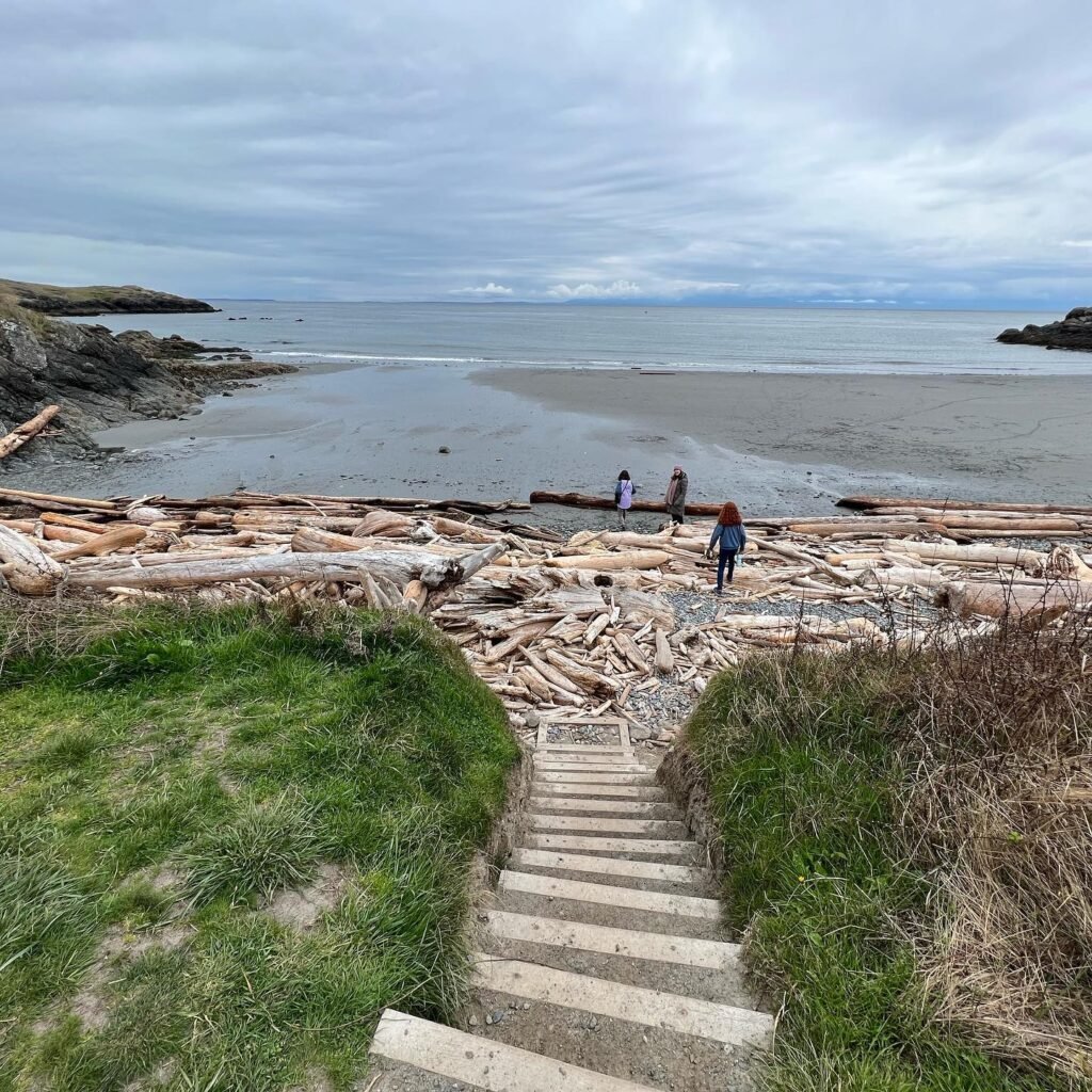 Concentric wooden steps leading down from a grassy bluff to a muddy tidal flat covered in drifted logs under an overcast sky.