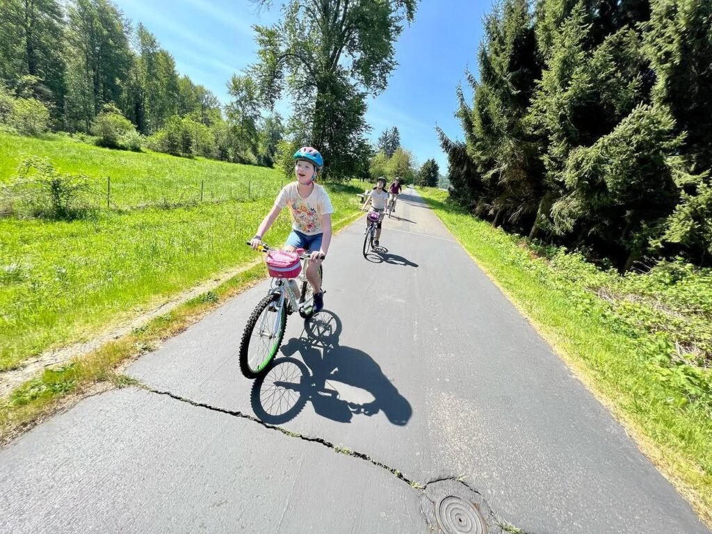 Cyclists ride a paved road bordered by lush green fields and tall trees under a clear blue sky.