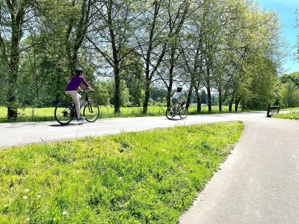 People cycling on a paved trail bordered by green grass and tall trees on a sunny day.