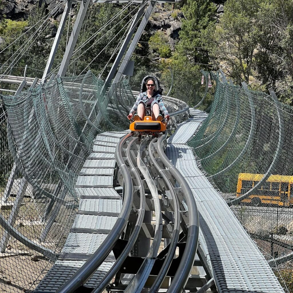 Enjoying a thrilling ride on a mountain coaster with scenic views of nature.