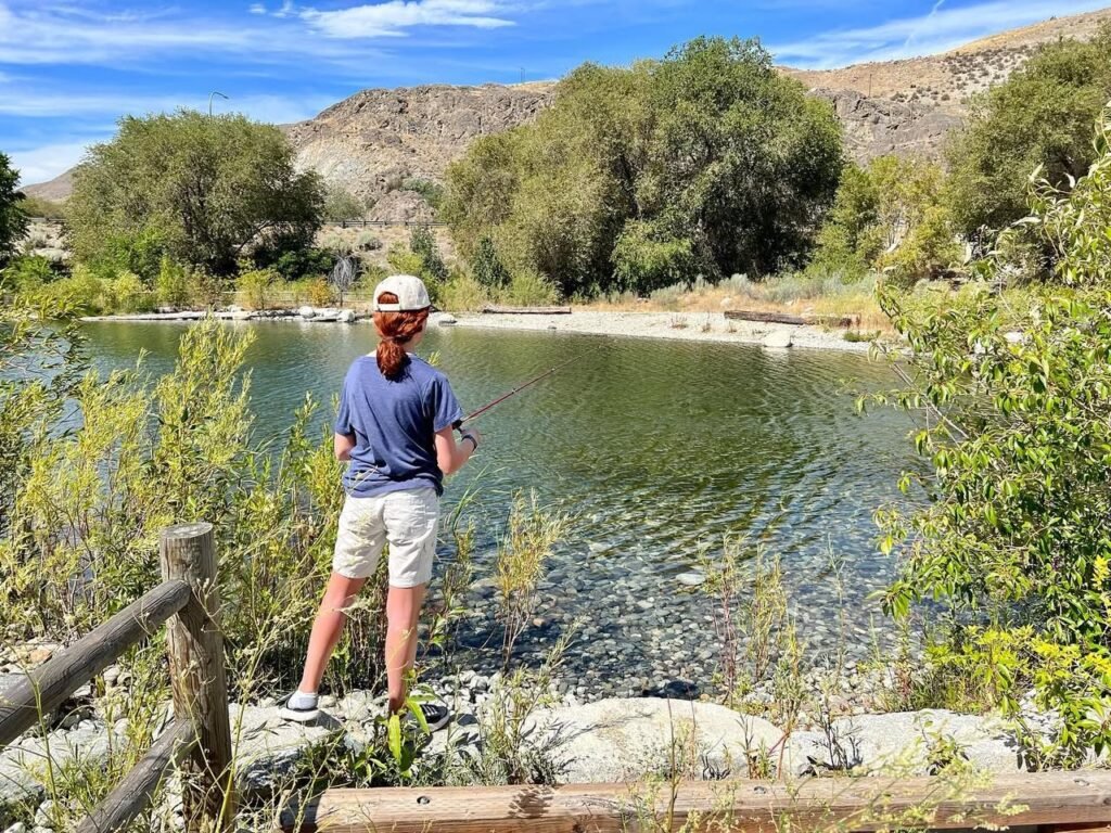 A person is fishing from the shore of a calm mountain stream, surrounded by lush green trees and hills.