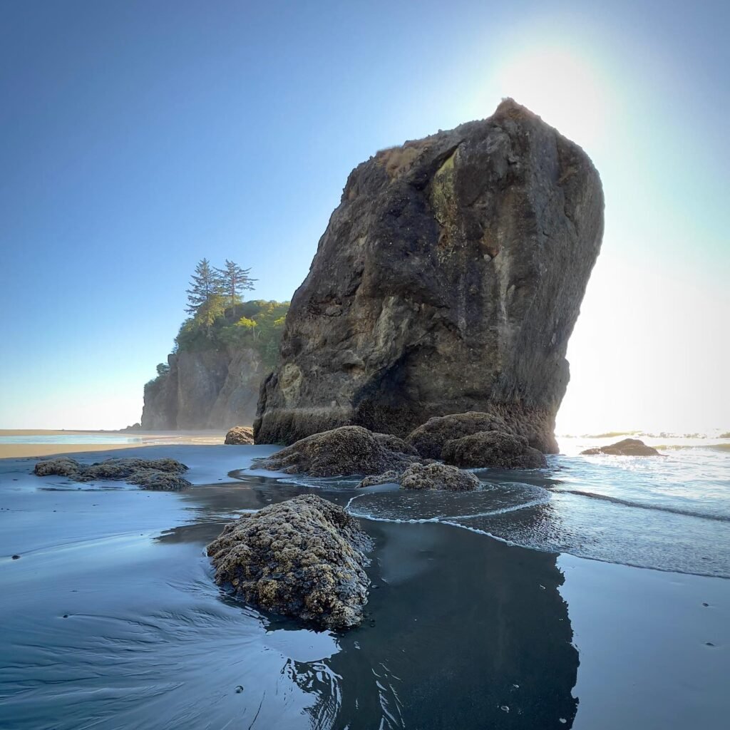 A massive sea stack stands prominently against a clear blue sky at Cannon Beach, Oregon. The tide has receded, revealing barnacle-covered rocks in the wadeable water in the foreground.