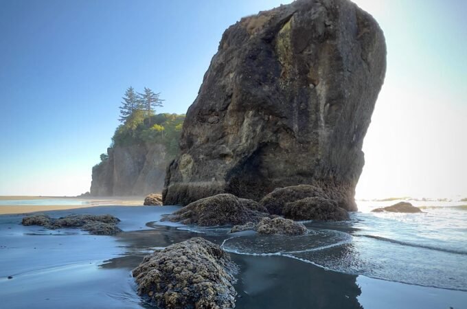 A massive sea stack stands prominently against a clear blue sky at Cannon Beach, Oregon. The tide has receded, revealing barnacle-covered rocks in the wadeable water in the foreground.