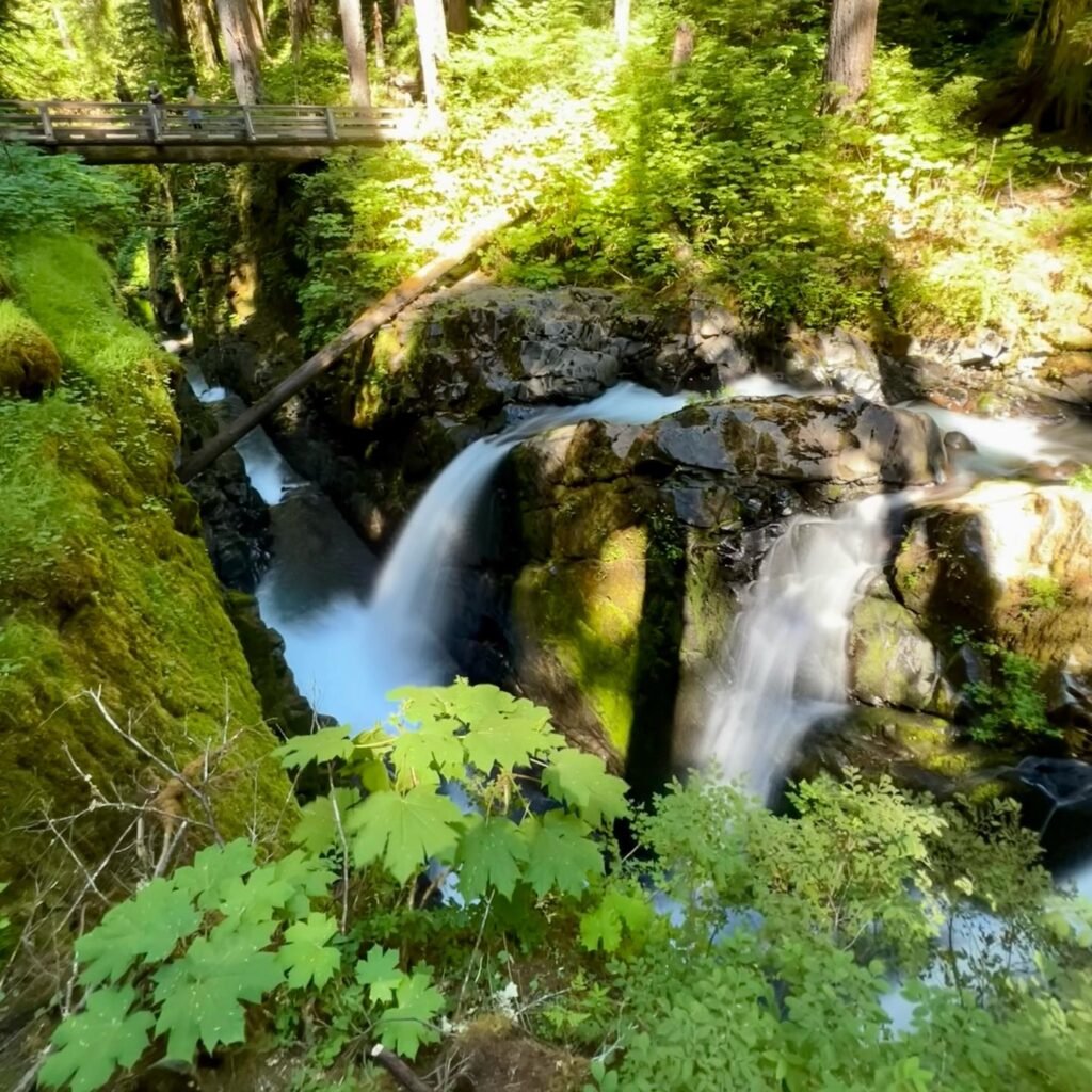 Small cascading waterfall surrounded by lush green forest with a wooden footbridge spanning the gorge above.