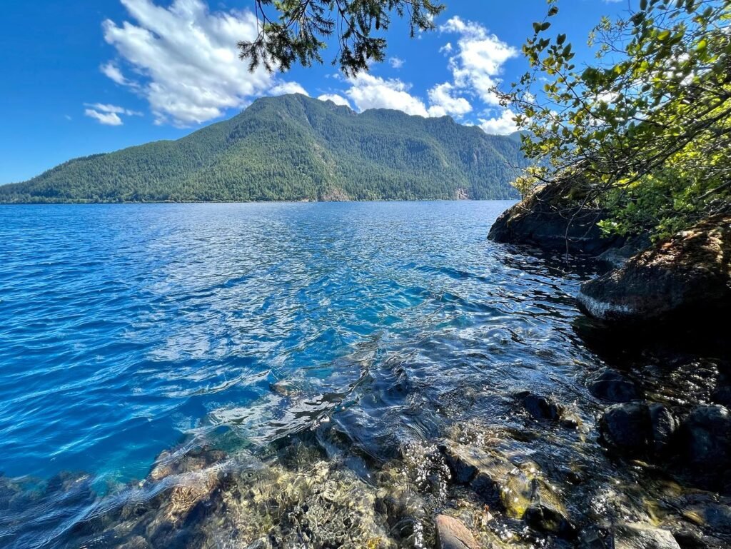 A tranquil view of clear blue lake water with forested hills in the background and lush greenery framing the shore.