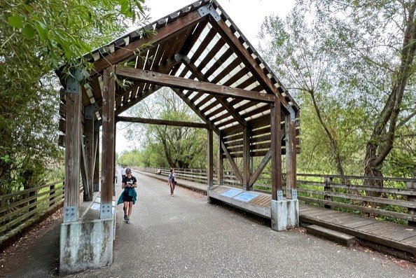 A rustic wooden covered footbridge on a hillside in Scotland. A person runs past the bridge under the green forest canopy.
