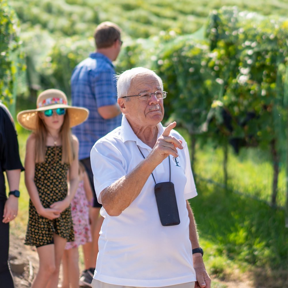 Visitors explore lush greenhouse interiors at an estate vineyard during a local tour in the Pacific Northwest.