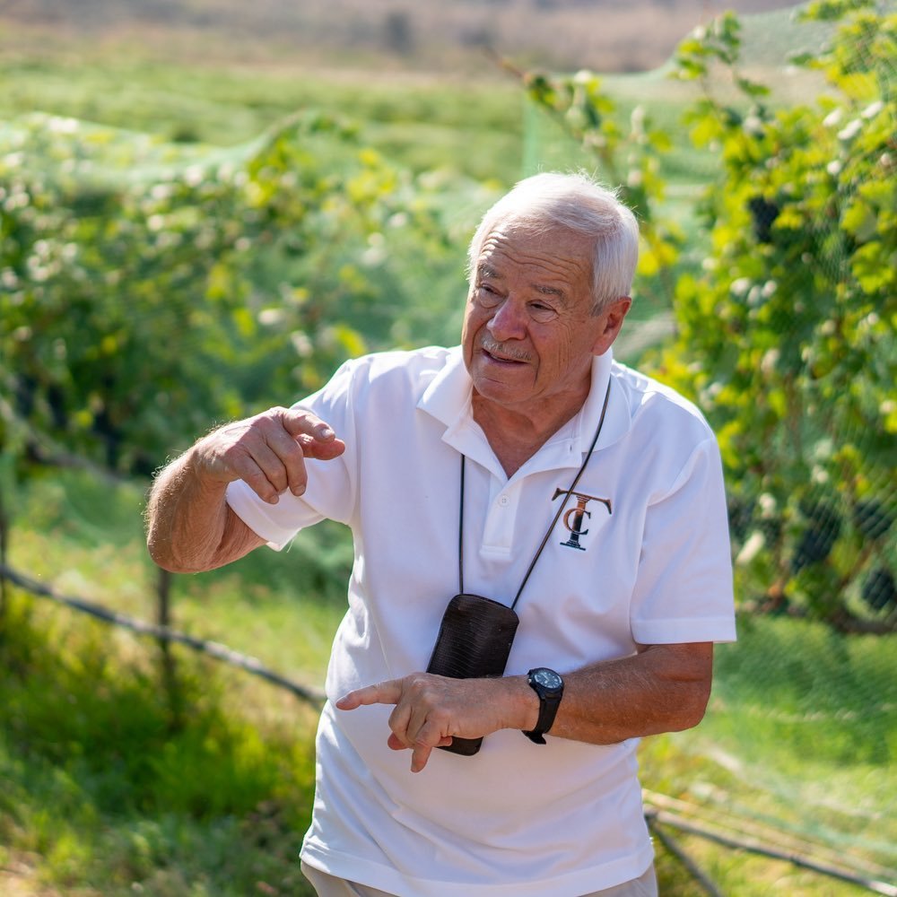 An older individual in a white polo shirt gestures while walking through a sunlit vineyard, sharing details about the surrounding vines.