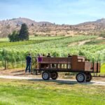 VR Birthday at Sandbox Group riding a wooden wagon through a vineyard under a clear blue sky, surrounded by vine rows and glistening fruit.