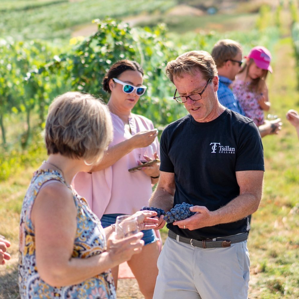 A group of people examining fresh blueberries in an outdoor vineyard setting on a sunny day.