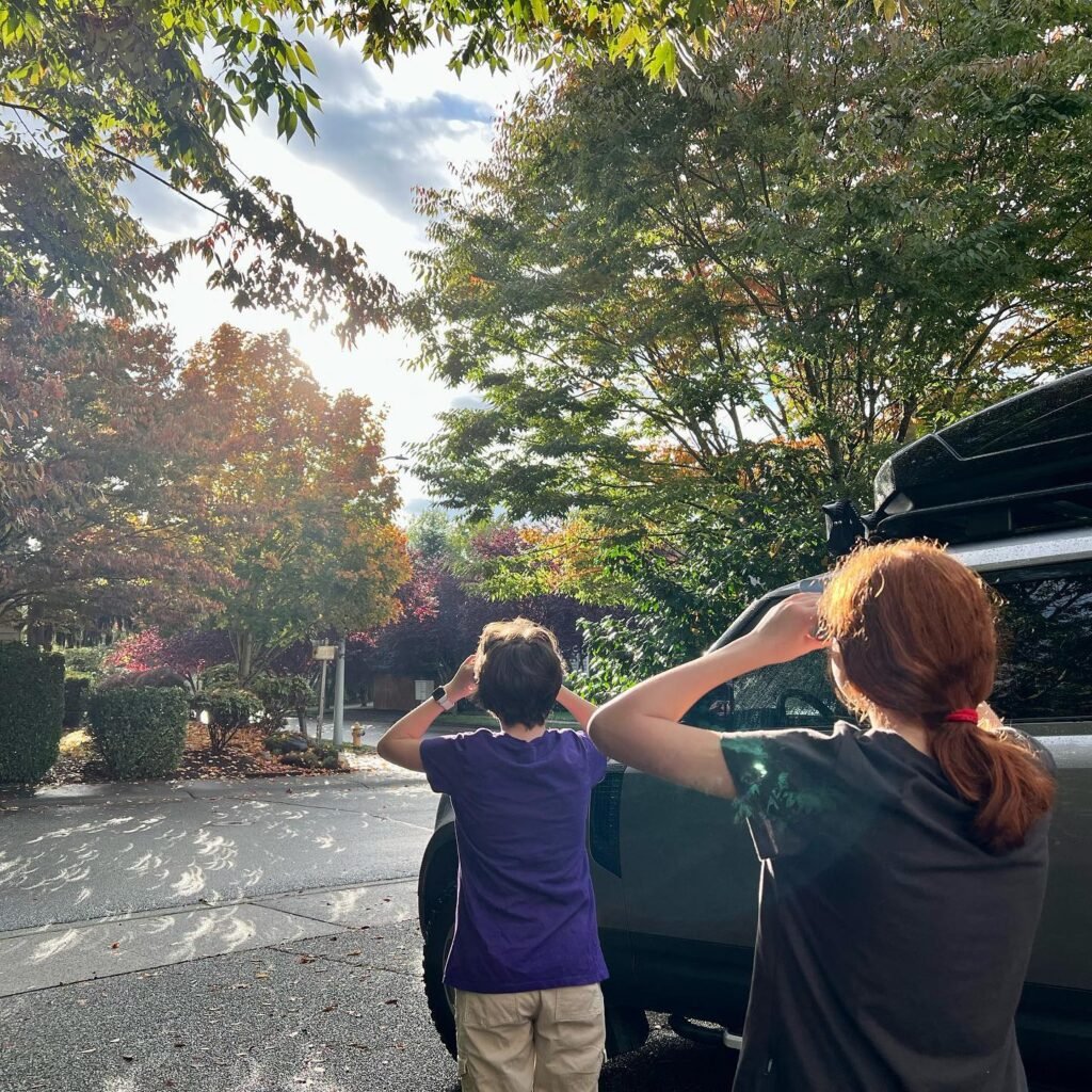 A nice sunny day, perfect for a walk with the family.