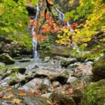 A serene forest stream cascading over moss-covered rocks beneath a canopy of vibrant green, yellow, and red autumn leaves. A cascade of water flows through a lush woodland setting with detailed foliage in the foreground.