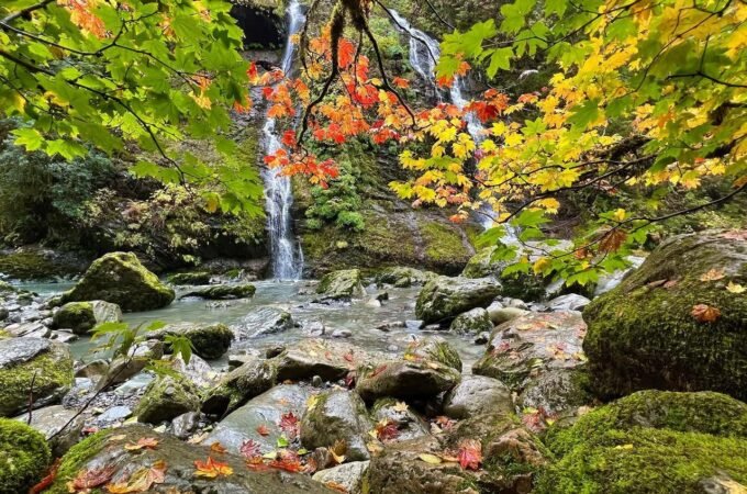 A serene forest stream cascading over moss-covered rocks beneath a canopy of vibrant green, yellow, and red autumn leaves. A cascade of water flows through a lush woodland setting with detailed foliage in the foreground.