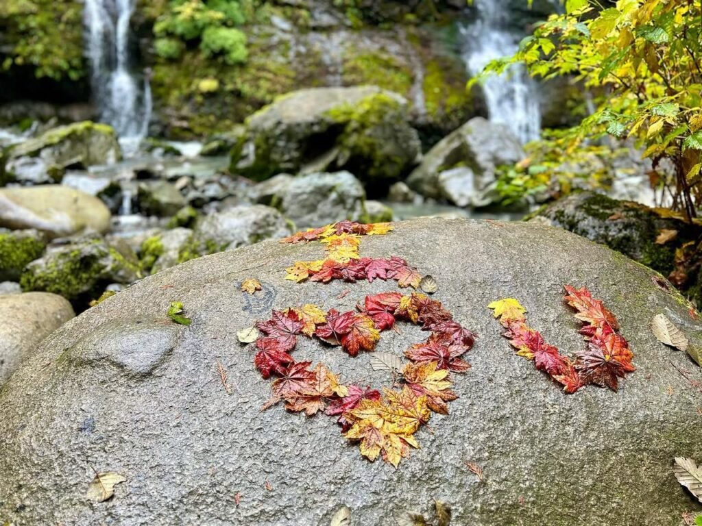 The words 'I love you' spelled out with red and yellow autumn leaves on a large boulder in front of a forest waterfall.